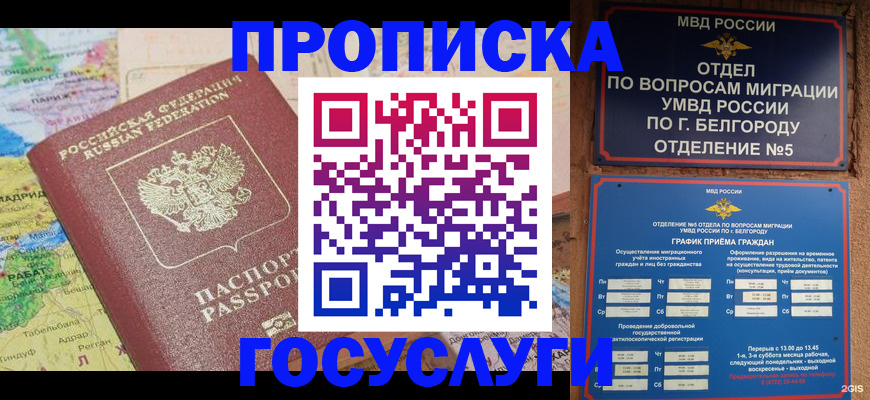 прописка регистрация в Купино